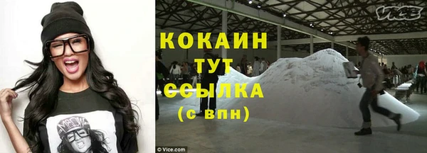 дживик Белокуриха