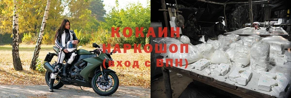 дживик Белокуриха